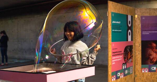 Diario HOY | Comienza a diseñarse el futuro Museo de Ciencias en la Costanera