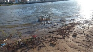 Remeros hallan cadáver de una mujer en la Bahía de Asunción