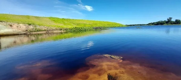 Arroyo Ñeembucú está contaminado con Escherichia coli