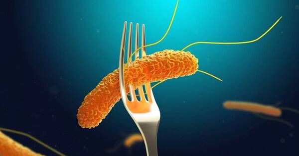 Diario HOY | Cuidado con la salmonella: así se contaminan los alimentos en verano