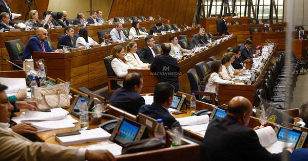 La Nación / Debate y alta productividad: los principales resultados de las comisiones asesoras