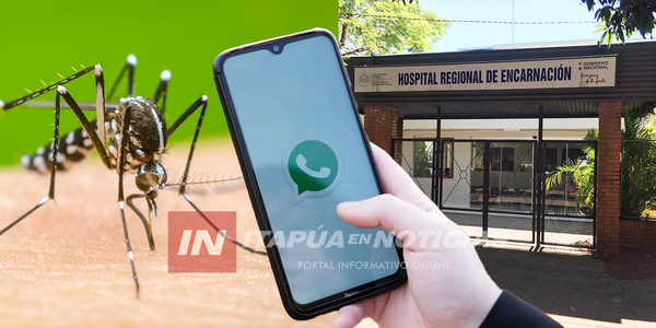 MINISTRA DE SALUD CONFIRMA QUE EN ITAPÚA YA FUNCIONA EL “TELEDENGUE” - Itapúa Noticias