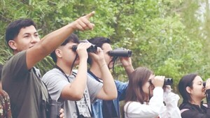 Invitan a recorrido por la Ruta de los Loritos chovy, pytã y sa’yju