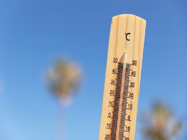 Verano seguro para todos: Consejos cruciales para una temporada de calor saludable - La Tribuna