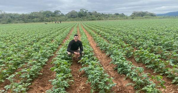 Diario HOY | Un gran tesoro enterrado (y poco conocido) en el Paraguay