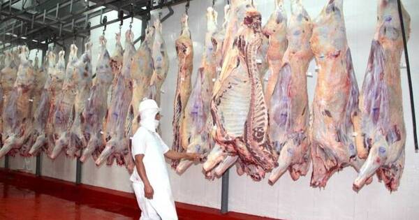 La Nación / Israel habilita a Paraguay exportar carne bovina con hueso