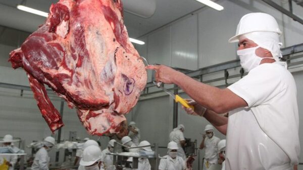 Israel importará carne paraguaya con hueso y autoridades lo califican como "hecho histórico"