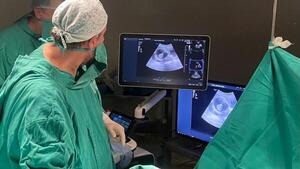 Clínicas requiere USD 100.000 para iniciar plan de cirugía fetal gratuito