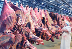 Logro para Paraguay: Autorizada la importación de carne bovina con hueso a Israel | OnLivePy