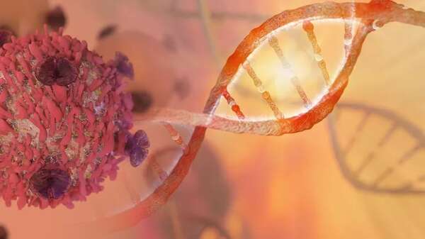Hallan 103 genes alterados que causan enfermedades hereditarias y elevan riesgo de cáncer - Ciencia - ABC Color
