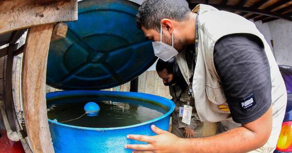 Diario HOY | Lucha contra el dengue: SENEPA comienza semana con intervenciones en Gran Asunción