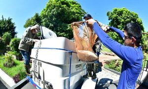 ITAIPU produjo más de 4.000.000 de peces en el 2023