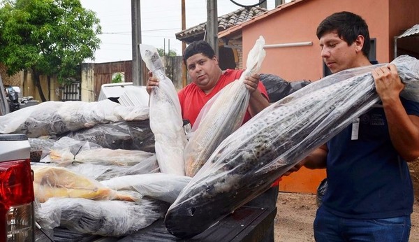 Mades ome’ẽ 150 kilo pira ojeipe’a va’ekue mbohapy institución benéfica-pe g̃uarã - .::Agencia IP::.