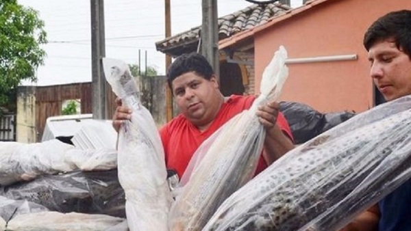 Mades realizó donativo de 150 kilos de pescados decomisados a instituciones benéficas