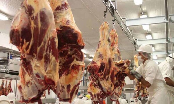 Gremio cárnico celebra exportación al mercado israelí: primer envío sería entre esta y la próxima semana – Prensa 5