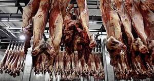 La Nación / Exportación de carne con hueso a Israel marca la consolidación sanitaria a nivel país