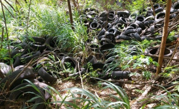 Preocupa “cementerio” de cubiertas en desuso el km 1