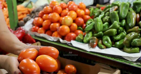 La Nación / Solución para precios altos de verduras será enfocarse en producción local, afirman