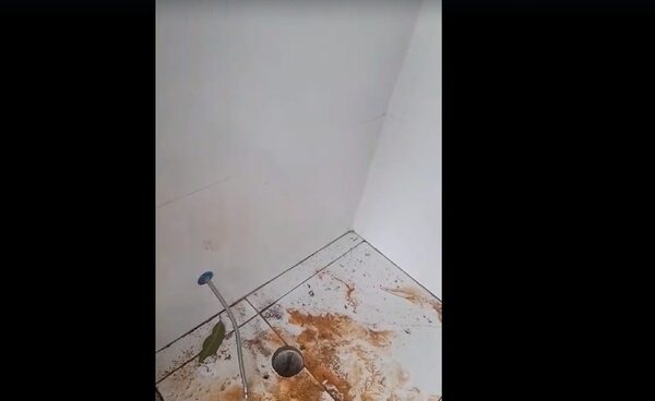 Adictos delincuentes “vaciaron” baño de plaza en Franco