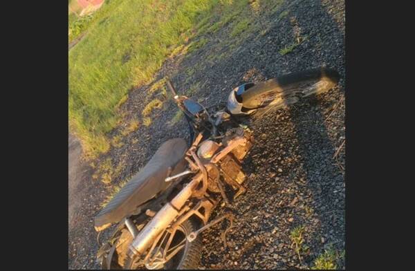 ¡Ndi! Motoca chocó y mató a chanchito que se le cruzó en plena ruta