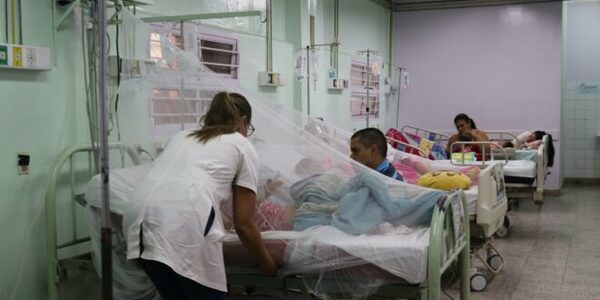 Alerta: 8 niños entre los 19 fallecidos por dengue en las últimas semanas