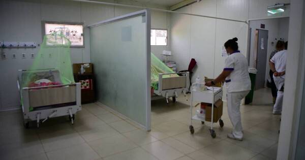 La Nación / Vigilancia de la Salud reportó 15 casos de coinfección de dengue y covid