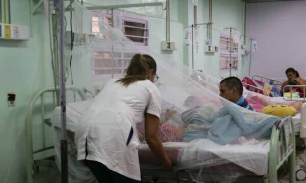 Alerta: 8 niños entre los 19 fallecidos por dengue en las últimas semanas – Prensa 5