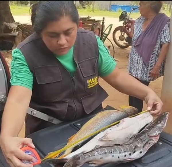 Mades realizó donativo de 150 kilos de pescados decomisados a instituciones benéficas - ADN Digital