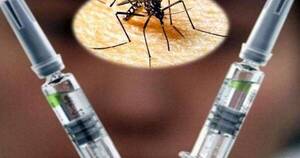 Diario HOY | Vacuna contra dengue made in Brasil: Salud evacúa si se ajusta a tipos que circulan en país
