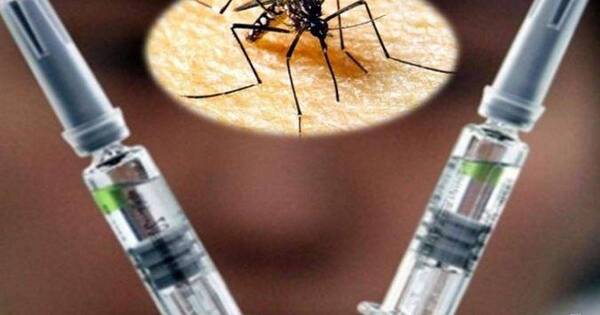Diario HOY | Vacuna contra dengue made in Brasil: Salud evacúa si se ajusta a tipos que circulan en país