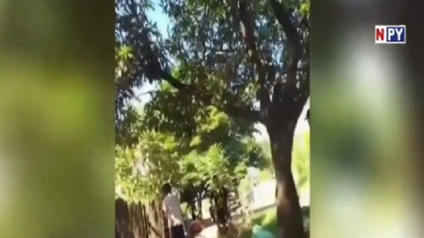 Salvaje agresión de padre a su hijo en Concepción - Noticias Paraguay