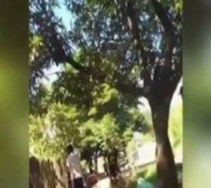 Salvaje agresión de padre a su hijo en Concepción - Paraguay.com