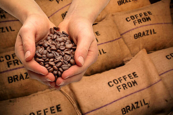 Las exportaciones de caf茅 de Brasil se mantuvieron en 2023, pero perdieron un 13% de valor - Revista PLUS
