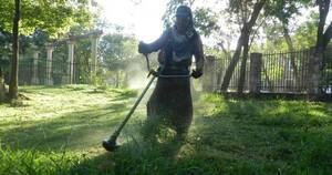 Diario HOY | Municipio encabeza minga ambiental en el Parque Caballero