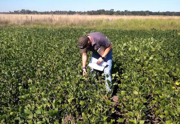 Campos de Boquerón y Alto Paraguay registrarán las temperaturas más altas