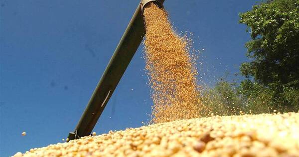 La Nación / USDA sube pronóstico de producción de soja a 10,3 millones de toneladas