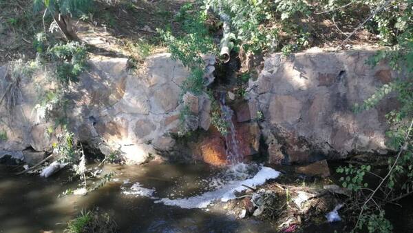 Mades inhabilita temporalmente a frigorífico por supuesta contaminación de arroyo
