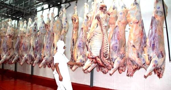 La Nación / Envío de carne con hueso marca consolidación sanitaria a nivel país