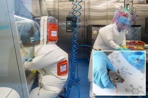 Alertan de experimentos en China con cepa mutante de Covid | 1000 Noticias