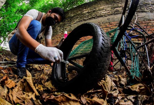 Senepa inactiva más de 73.000 criaderos en barrios asuncenos - El Trueno