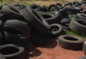 Senepa inactiva más de 73.000 criaderos en barrios asuncenos
