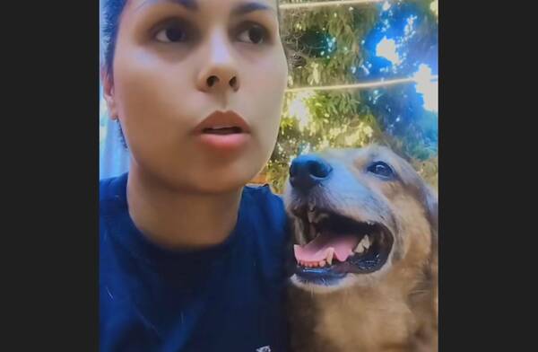 [VIDEO] ¿El Pombero "visitó" un refugio de animales?: "Su respiración era pesada"