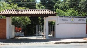 Desafíos y respuestas: Estrategias y servicios del Centro Nacional de Prevención y Tratamiento de Adicciones - .::Agencia IP::.