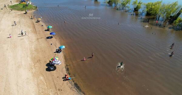 Diario HOY | Suspensión de playa pilarense no se debe al ataque de pirañas, aclaran
