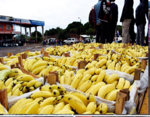 MOPC anuncia construcción de la “Ruta de la Banana”: prevén arrancar obras en el 2025