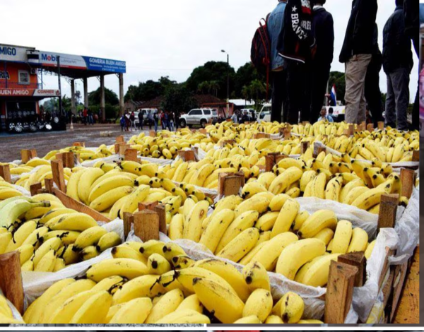 MOPC anuncia construcción de la “Ruta de la Banana”: prevén arrancar obras en el 2025