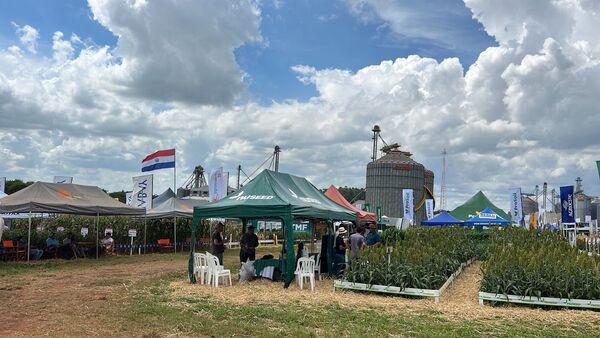 Ampliada y participativa se realiza el Día de Campo de la Cooperativa Sommerfeld