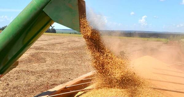 La Nación / USDA sube pronóstico de producción de soja en el país