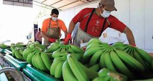 La Nación / Obras de Ruta de la Banana arrancarán en el año 2025