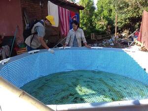 Aumentan los casos de dengue en Alto Paraná: CDE lidera la lista de afectados - ADN Digital